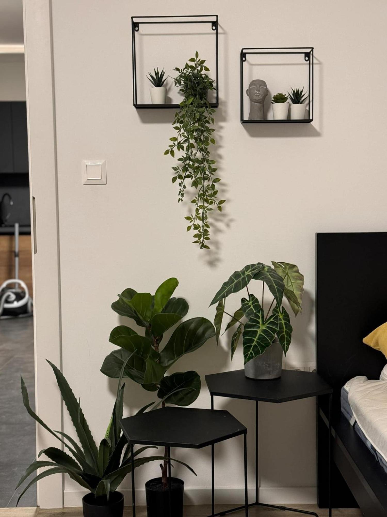 Apartmány Elli Mýto pod Ďumbierom Esterno foto