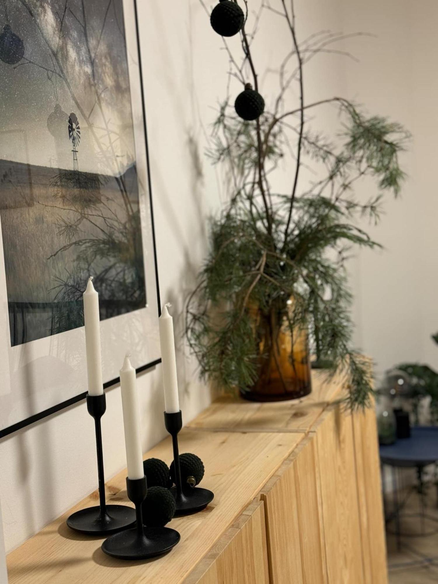 Apartmány Elli Mýto pod Ďumbierom Esterno foto